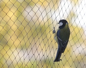 Anti Bird Net