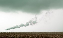 Etiam commodo convallis